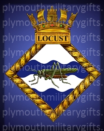 HMS Locust Magnet
